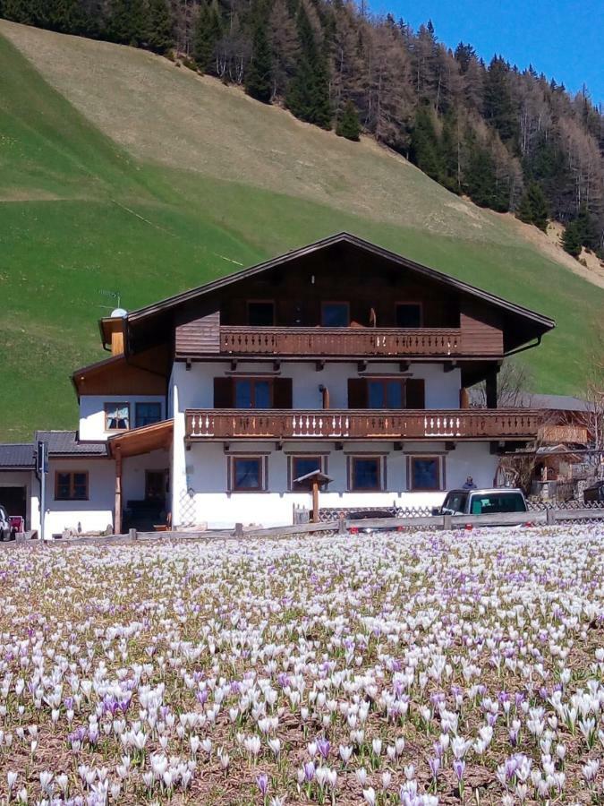 Pension & Appartament Anna Predoi Exterior foto