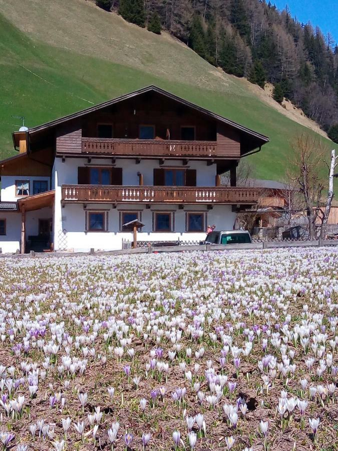 Pension & Appartament Anna Predoi Exterior foto